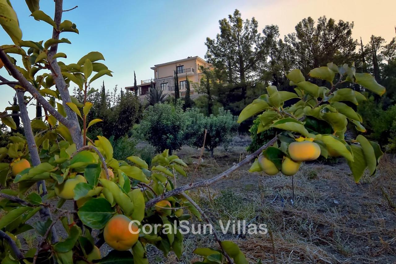Elite Amazing Villa With Heated Pool By Coral Sun Villas Polis Exterior foto
